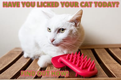 licki brush 